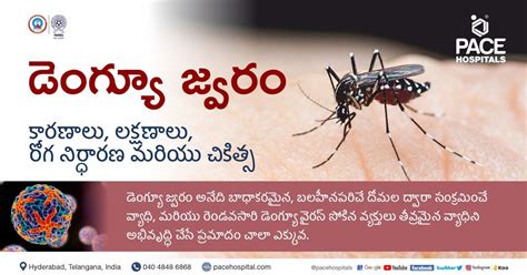 dengue meaning in telugu